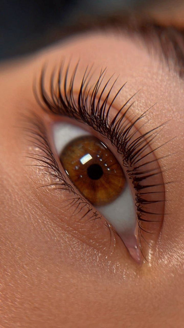 Lash Lift